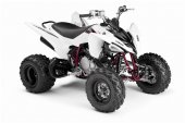 2009 Yamaha Raptor 250 photo